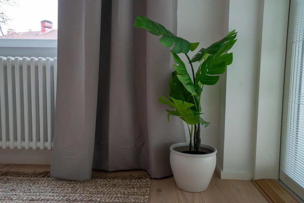 A New Apartment In Helsingfors Eksteriør bilde